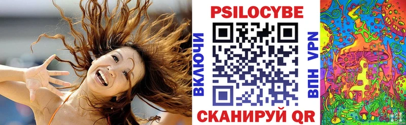 магазин  наркотиков  Истра  mega маркетплейс  Галлюциногенные грибы MAGIC MUSHROOMS 