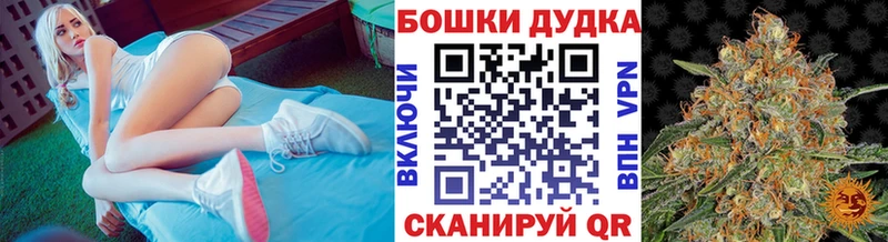 Каннабис семена  Истра 